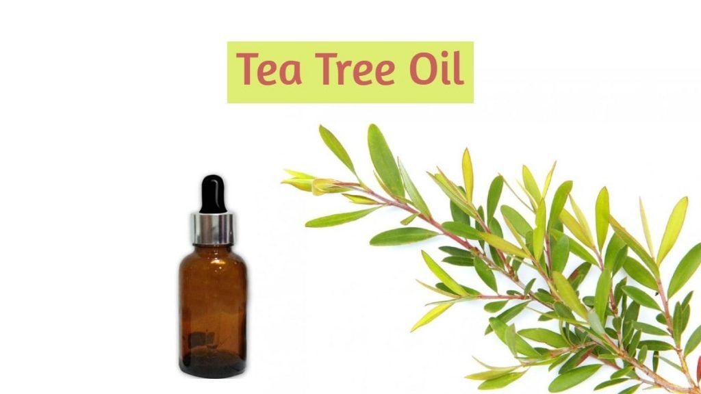 tea-tree-oil-for-pimples