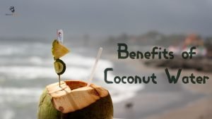 Read more about the article Benefits of Coconut Water: 12 Amazing Health Benefits of Nariyal Paani